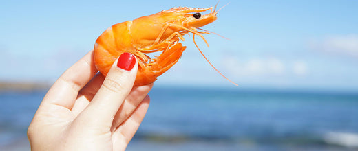 Tendencias de Manicura y Pedicura para el Verano 2024