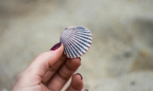 Tendencias Virales de TikTok en Manicura para el Verano 2024